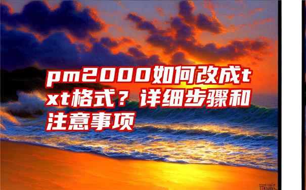 pm2000如何改成txt格式？详细步骤和注意事项