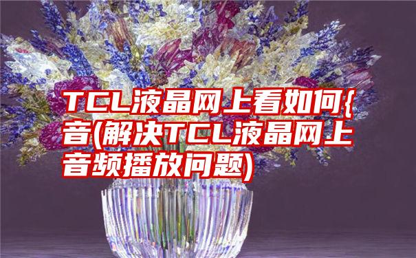 TCL液晶网上看如何{音(解决TCL液晶网上音频播放问题)