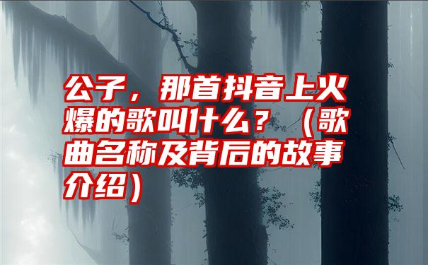 公子，那首抖音上火爆的歌叫什么？（歌曲名称及背后的故事介绍）