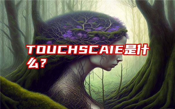 TOUCHSCAIE是什么？