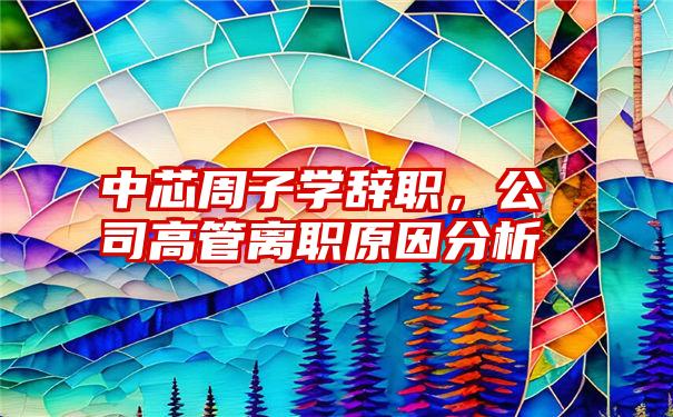 中芯周子学辞职，公司高管离职原因分析