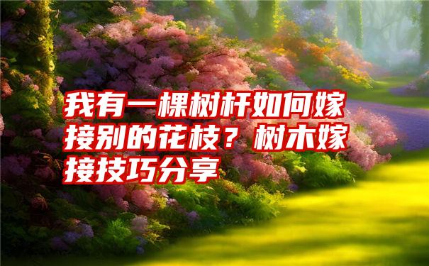 我有一棵树杆如何嫁接别的花枝？树木嫁接技巧分享