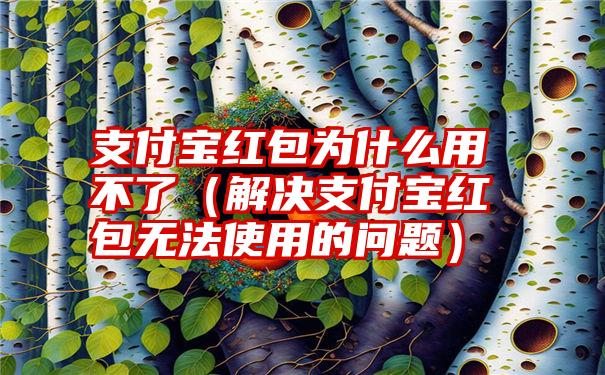 支付宝红包为什么用不了（解决支付宝红包无法使用的问题）