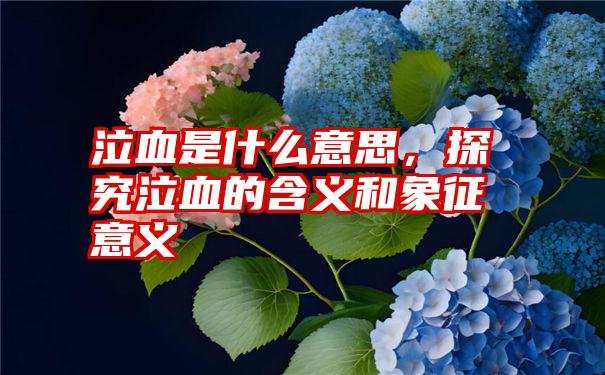 泣血是什么意思，探究泣血的含义和象征意义