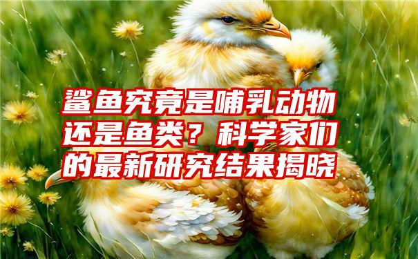 鲨鱼究竟是哺乳动物还是鱼类？科学家们的最新研究结果揭晓