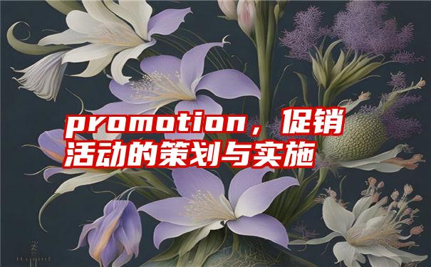 promotion，促销活动的策划与实施