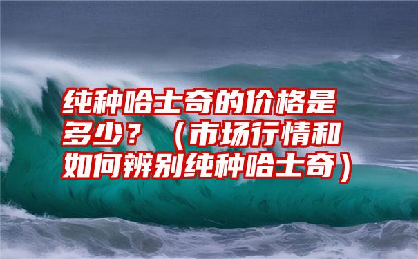 纯种哈士奇的价格是多少？（市场行情和如何辨别纯种哈士奇）