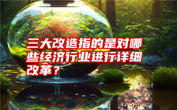 三大改造指的是对哪些经济行业进行详细改革？