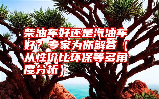 柴油车好还是汽油车好？专家为你解答（从性价比环保等多角度分析）