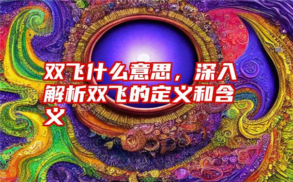 双飞什么意思，深入解析双飞的定义和含义