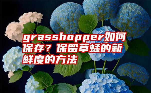 grasshopper如何保存？保留草蜢的新鲜度的方法