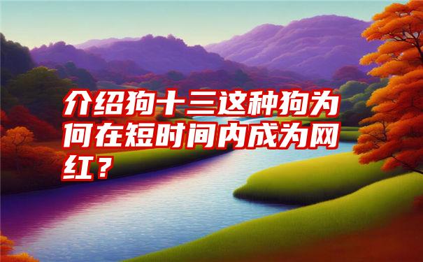 介绍狗十三这种狗为何在短时间内成为网红？