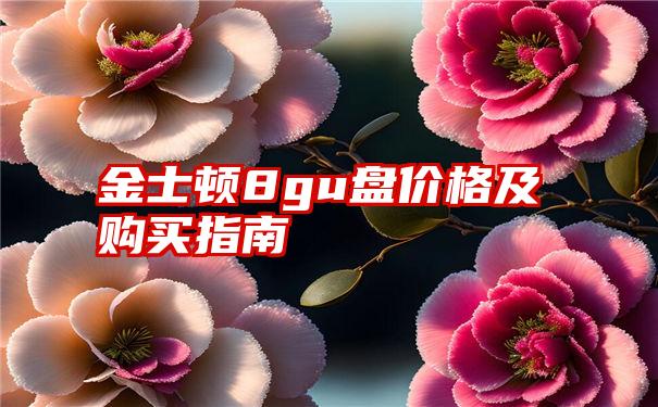 金士顿8gu盘价格及购买指南