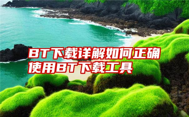 BT下载详解如何正确使用BT下载工具