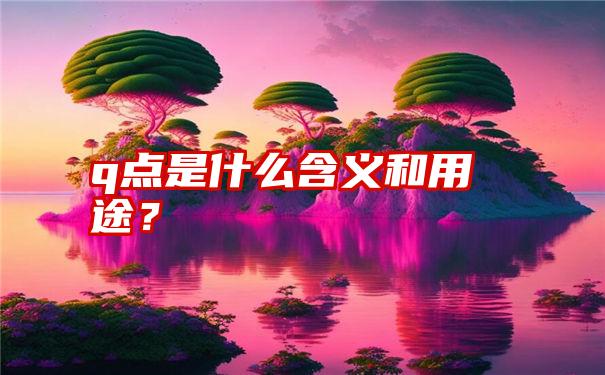 q点是什么含义和用途？