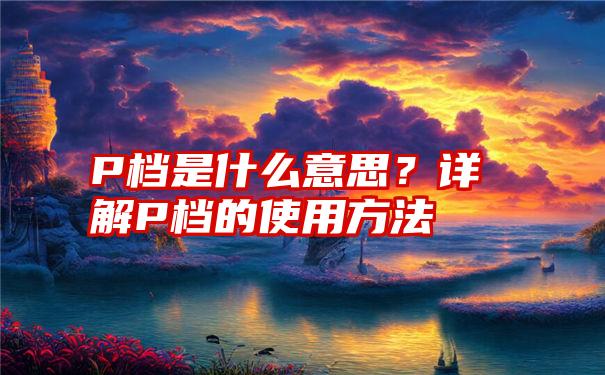 P档是什么意思？详解P档的使用方法