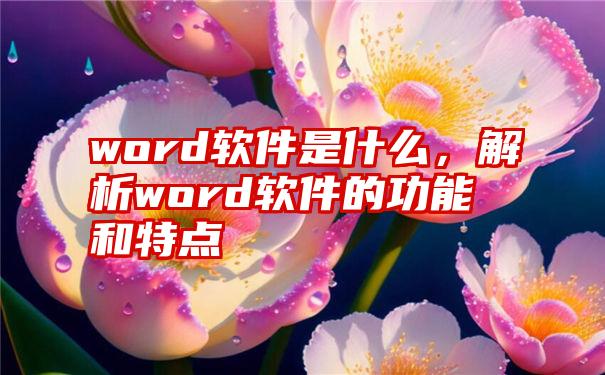 word软件是什么，解析word软件的功能和特点