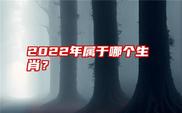 2022年属于哪个生肖？