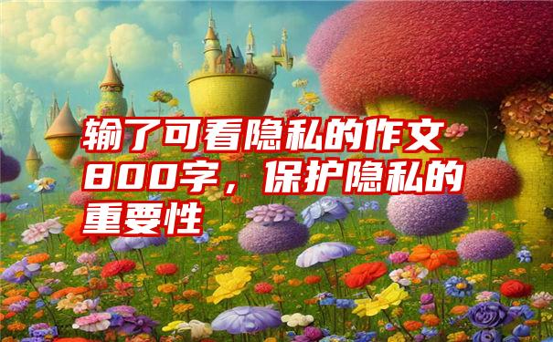 输了可看隐私的作文800字，保护隐私的重要性