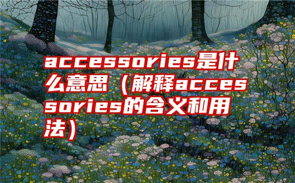 accessories是什么意思（解释accessories的含义和用法）