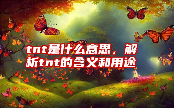 tnt是什么意思，解析tnt的含义和用途