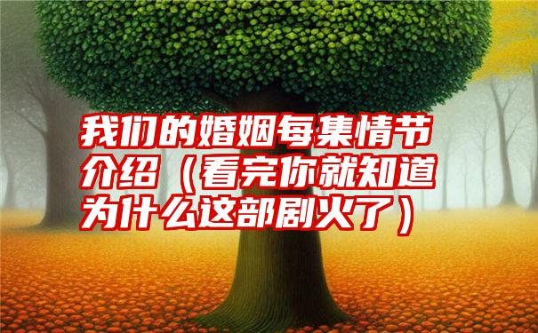 我们的婚姻每集情节介绍（看完你就知道为什么这部剧火了）