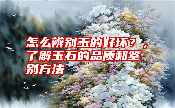 怎么辨别玉的好坏？，了解玉石的品质和鉴别方法