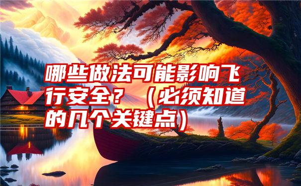 哪些做法可能影响飞行安全？（必须知道的几个关键点）