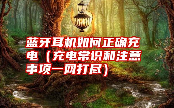 蓝牙耳机如何正确充电（充电常识和注意事项一网打尽）