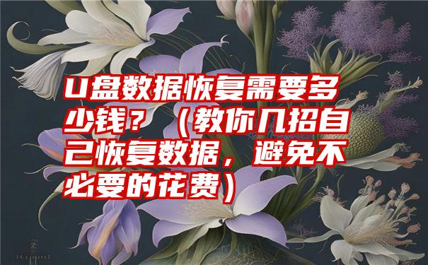 U盘数据恢复需要多少钱？（教你几招自己恢复数据，避免不必要的花费）