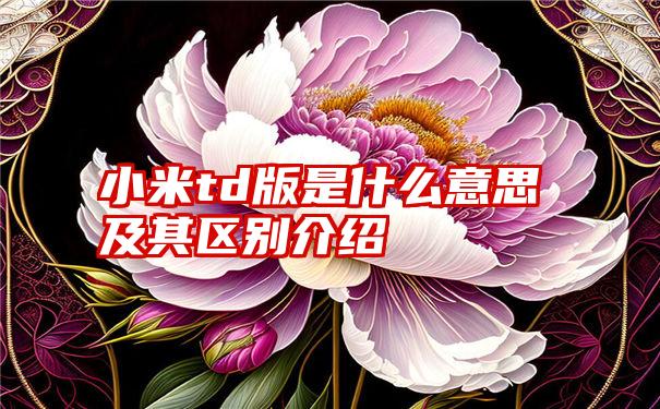 小米td版是什么意思及其区别介绍