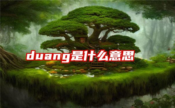 duang是什么意思