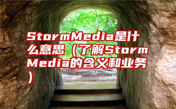 StormMedia是什么意思（了解StormMedia的含义和业务）