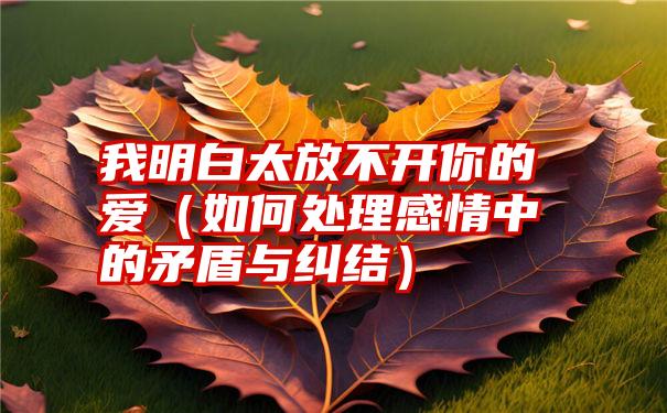 我明白太放不开你的爱（如何处理感情中的矛盾与纠结）