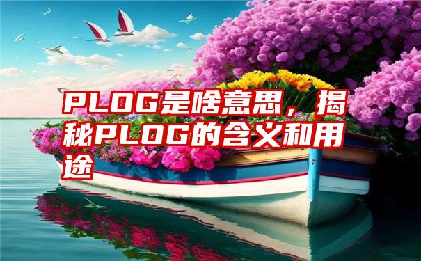 PLOG是啥意思，揭秘PLOG的含义和用途