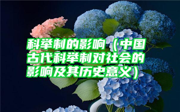 科举制的影响（中国古代科举制对社会的影响及其历史意义）