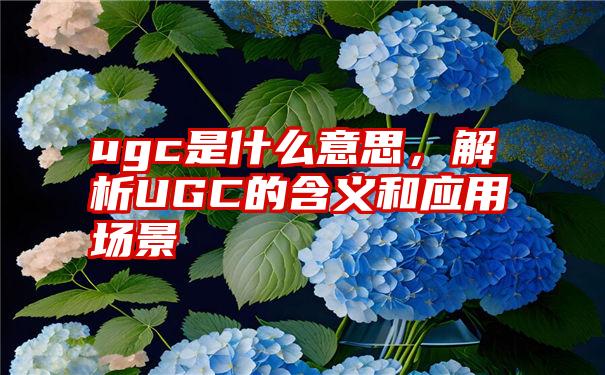 ugc是什么意思，解析UGC的含义和应用场景