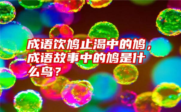 成语饮鸠止渴中的鸠，成语故事中的鸠是什么鸟？