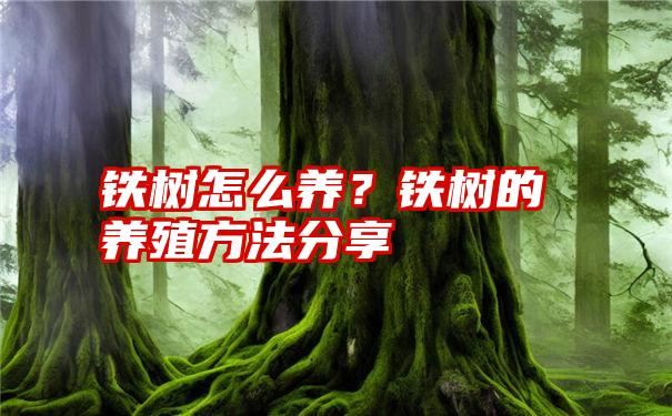 铁树怎么养？铁树的养殖方法分享