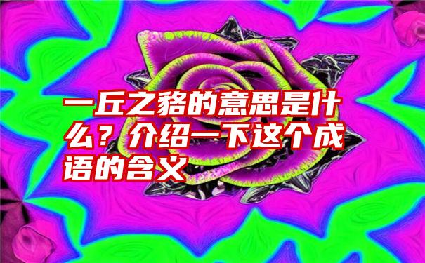 一丘之貉的意思是什么？介绍一下这个成语的含义