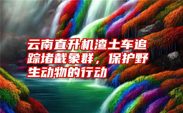 云南直升机渣土车追踪堵截象群，保护野生动物的行动