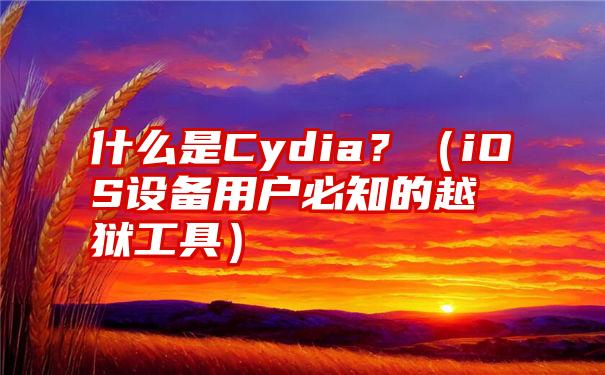 什么是Cydia？（iOS设备用户必知的越狱工具）