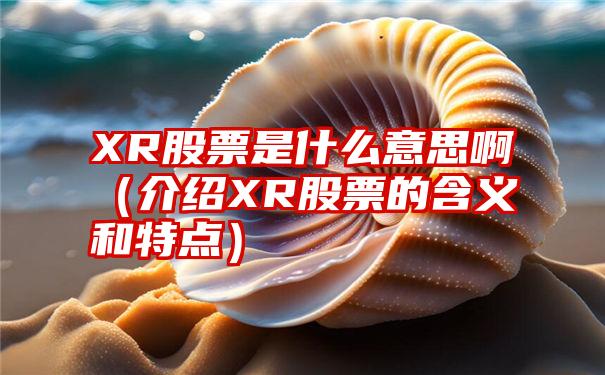 XR股票是什么意思啊（介绍XR股票的含义和特点）