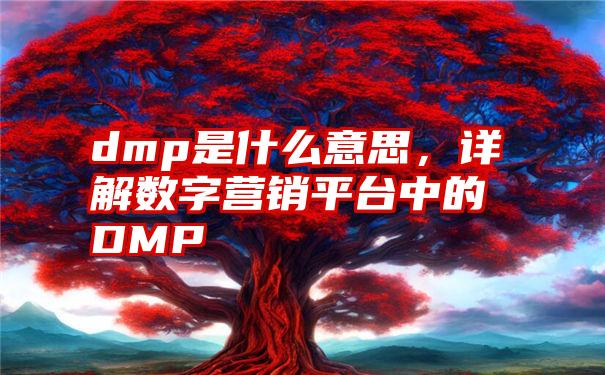 dmp是什么意思，详解数字营销平台中的DMP