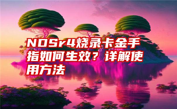 NDSr4烧录卡金手指如何生效？详解使用方法