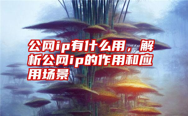 公网ip有什么用，解析公网ip的作用和应用场景