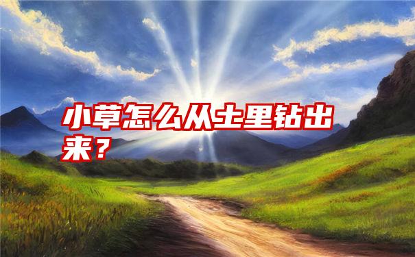 小草怎么从土里钻出来？