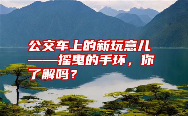 公交车上的新玩意儿——摇曳的手环，你了解吗？