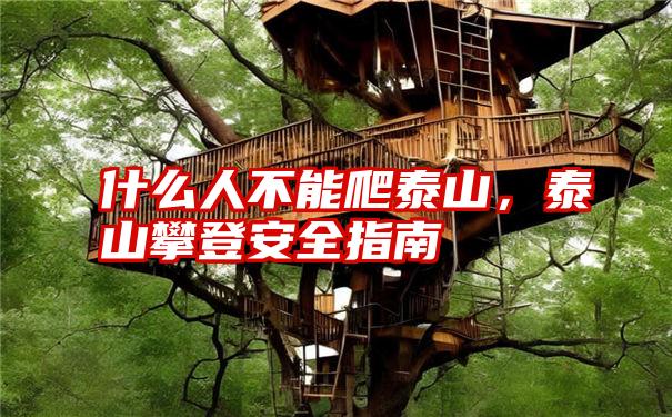 什么人不能爬泰山，泰山攀登安全指南