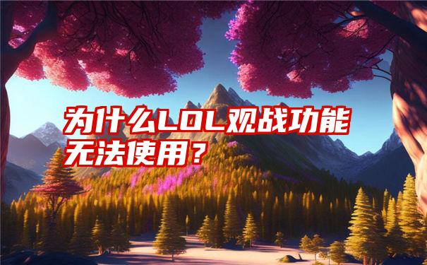 为什么LOL观战功能无法使用？